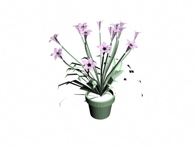 Download FREE 3D Models!