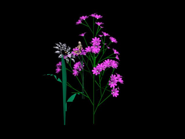 Download FREE 3D Models!