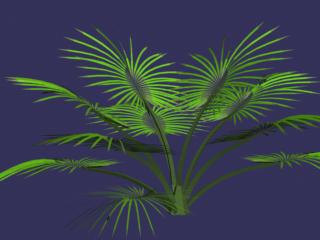 Plants 003-50