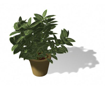 Download FREE 3D Models!