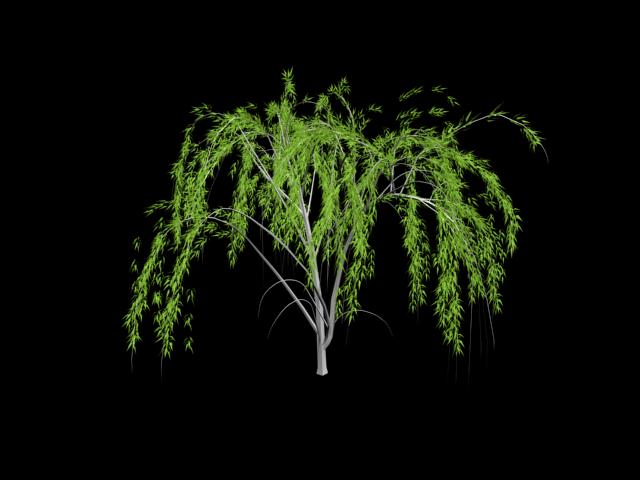 Download FREE 3D Models!