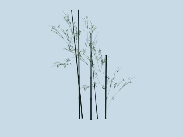 Download FREE 3D Models!