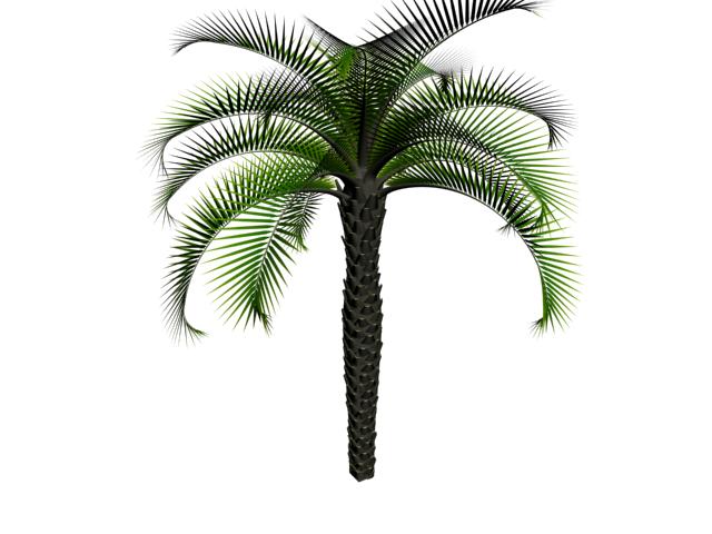 Download FREE 3D Models!