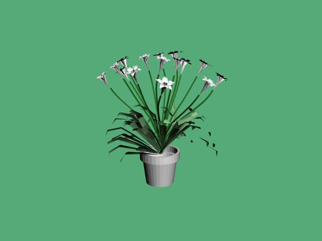 Download FREE 3D Models!