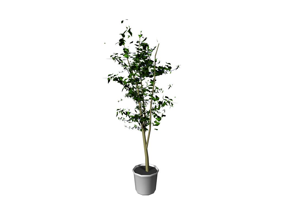 Download FREE 3D Models!