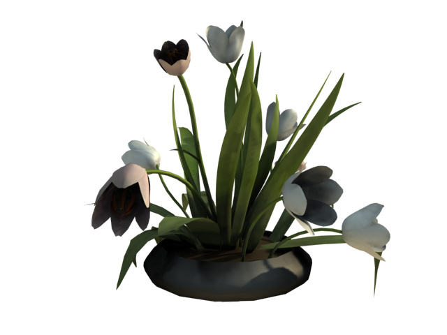 Download FREE 3D Models!