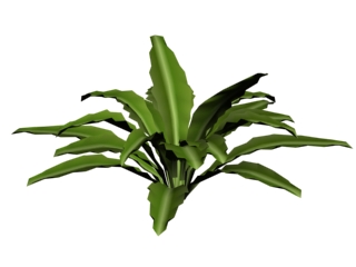 Download FREE 3D Models!