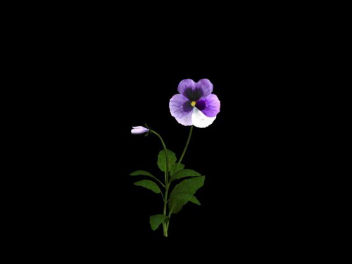 Download FREE 3D Models!