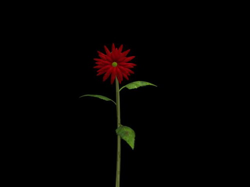 Download FREE 3D Models!