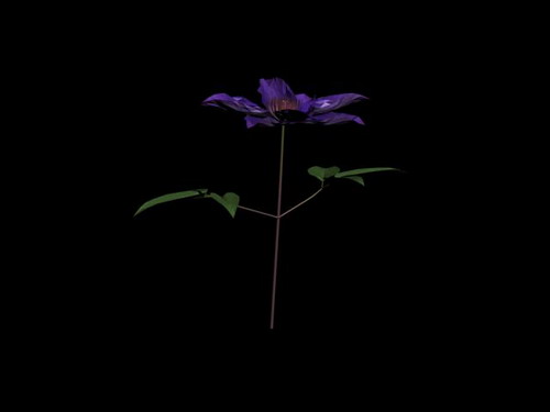 Download FREE 3D Models!