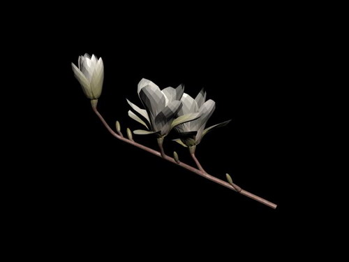 Download FREE 3D Models!