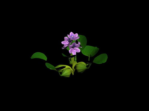 Download FREE 3D Models!