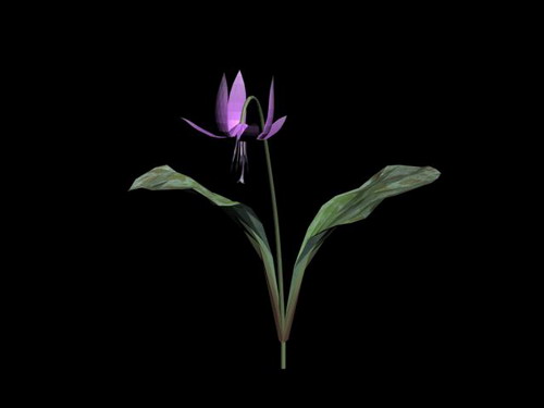Download FREE 3D Models!