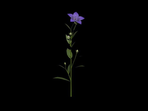 Download FREE 3D Models!