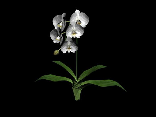 Download FREE 3D Models!