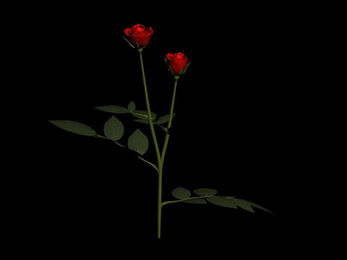 Download FREE 3D Models!