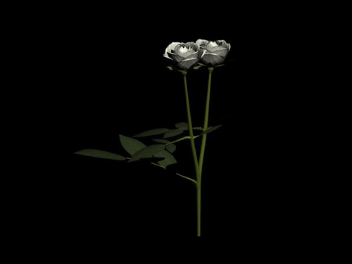 Download FREE 3D Models!