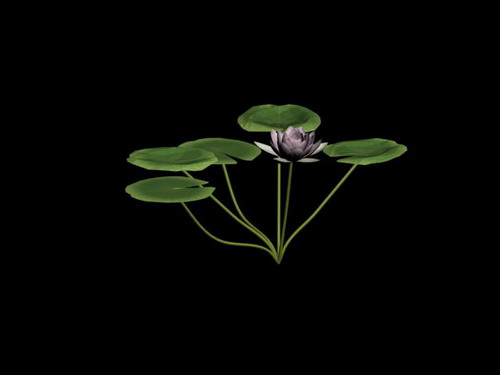 Download FREE 3D Models!