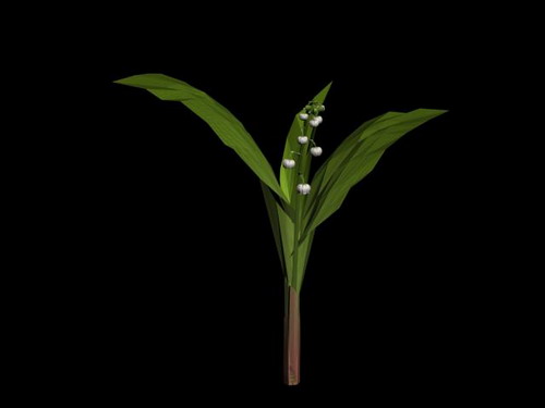 Download FREE 3D Models!