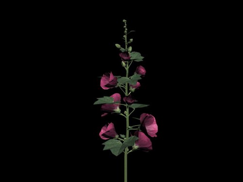 Download FREE 3D Models!