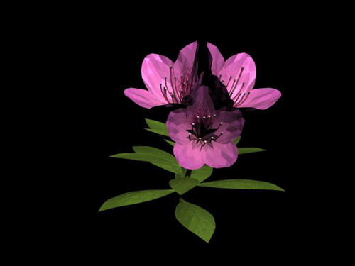 Download FREE 3D Models!