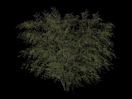 Download FREE 3D Models!