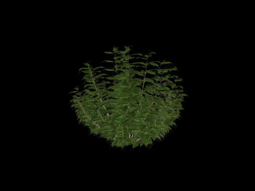 Download FREE 3D Models!