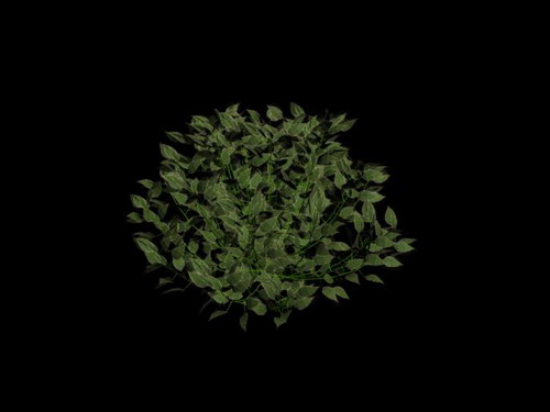 Download FREE 3D Models!
