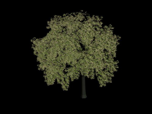 Download FREE 3D Models!