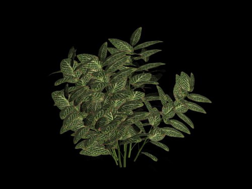 Download FREE 3D Models!