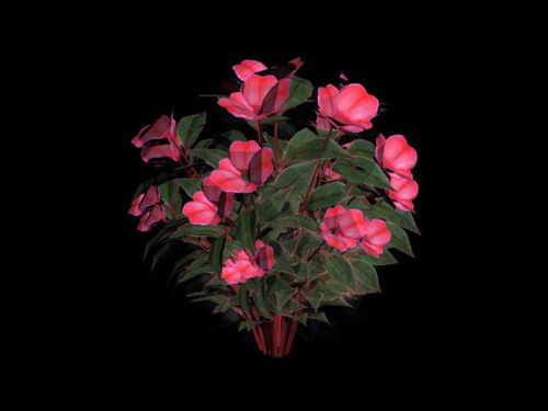 Download FREE 3D Models!