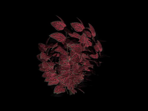 Download FREE 3D Models!