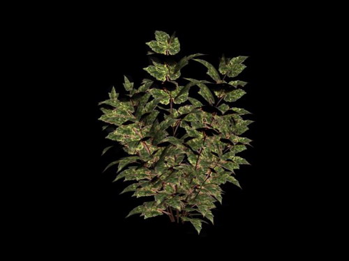 Download FREE 3D Models!