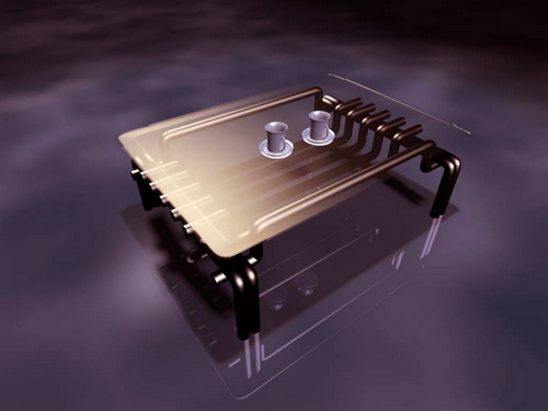 Download FREE 3D Models!