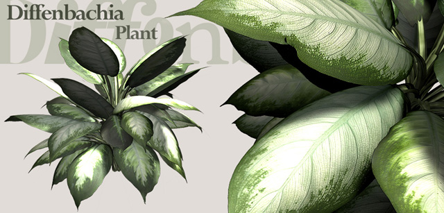 Download FREE 3D Models!