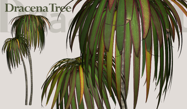 Download FREE 3D Models!