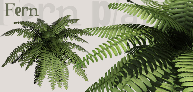 Download FREE 3D Models!