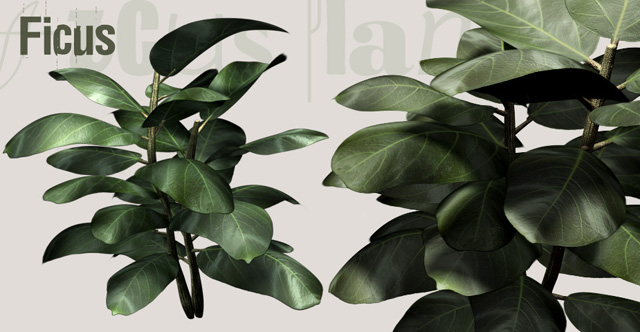 Download FREE 3D Models!