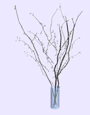 Download FREE 3D Models!