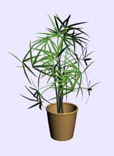 Download FREE 3D Models!