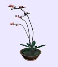 Download FREE 3D Models!