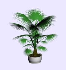 Download FREE 3D Models!