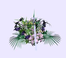 Download FREE 3D Models!