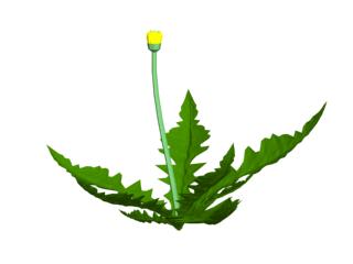 Download FREE 3D Models!