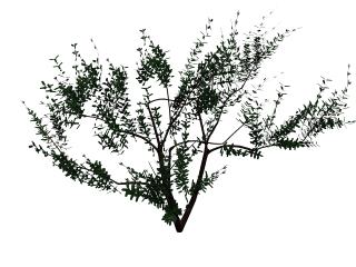 Download FREE 3D Models!