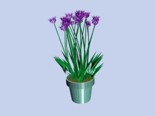 Download FREE 3D Models!