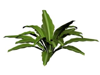 Download FREE 3D Models!