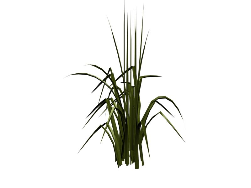 Download FREE 3D Models!