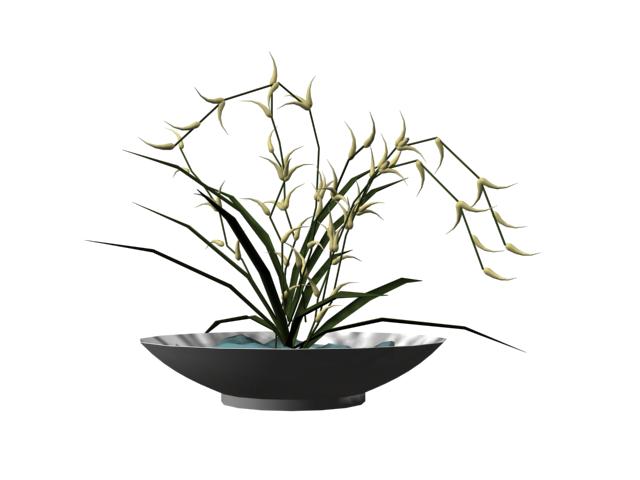Download FREE 3D Models!