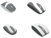 Download free 3D Models of Mouses